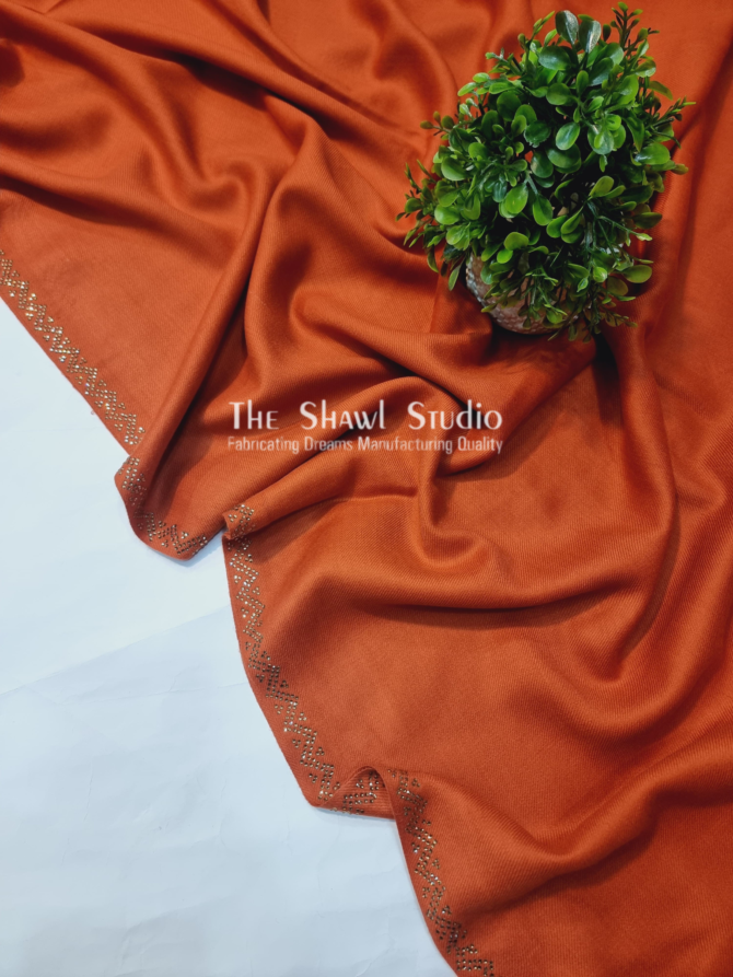 A Premium Pashmina Stone Border Shawl - Rust